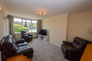 Lounge- click for photo gallery